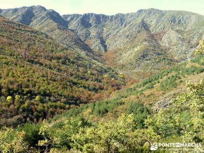 Parque Natural de Tejera Negra - Cantalojas - Guadalajara - Sierra de Ayllón;calidad en el senderis